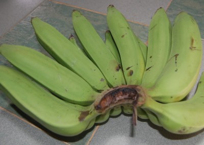 Banana Nangka