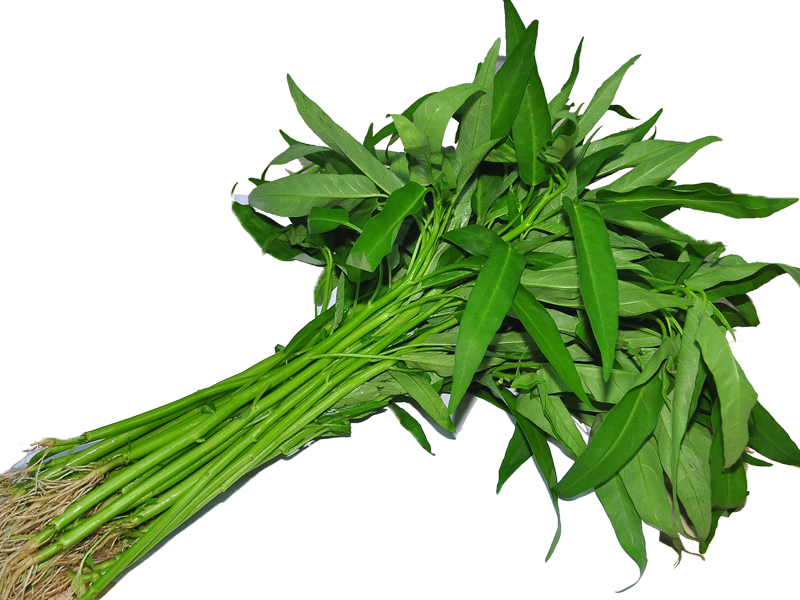 KangKong