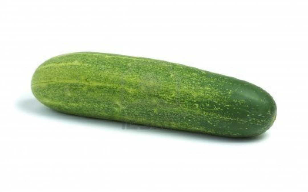 Cucumber