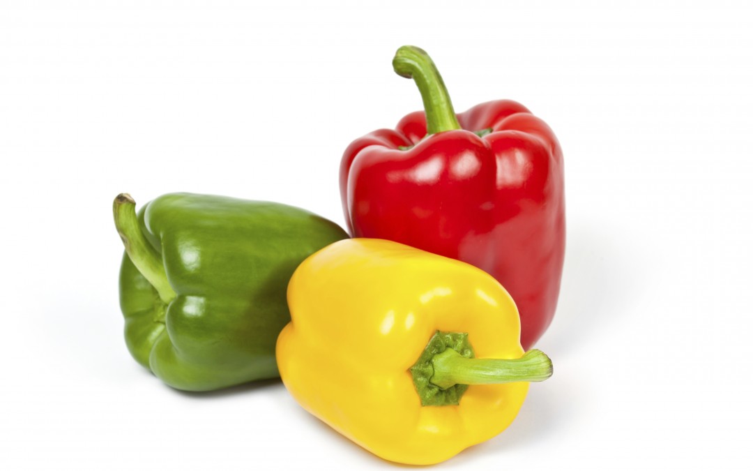 Pepper – Green,Yellow&Red